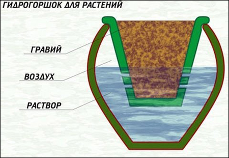 Гидрогршок для растений