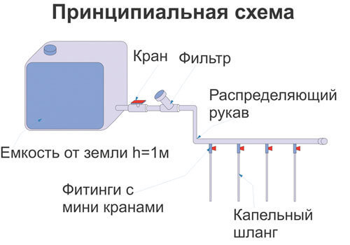 Схема капельного полива