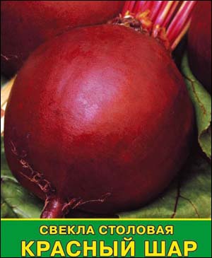 Сорт свеклы Красный шар