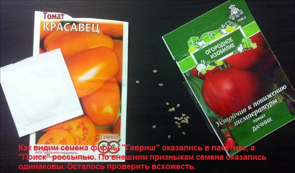 Сравнение семян томатов
