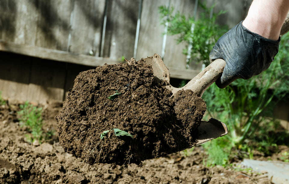 Почва в огороде