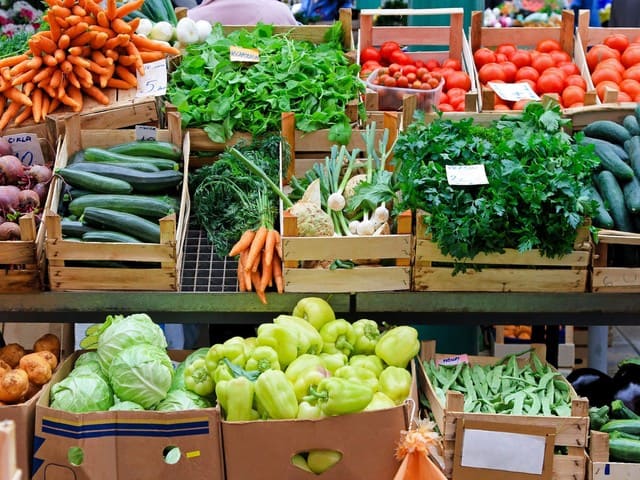 Выращивание овощей на продажу