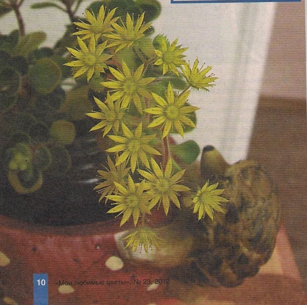 Азисинхрон
