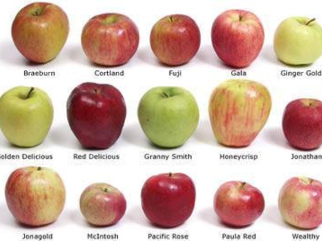 6 самых популярных, урожайных и вкусных сортов яблок для дачи