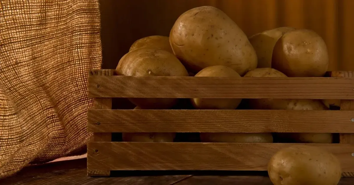 Секреты хранения картофеля