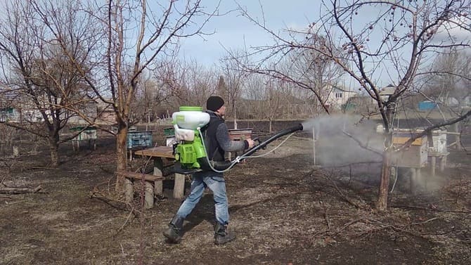 Обработка растений в апреле