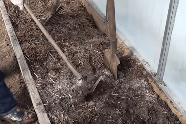 Как подготовить почву в теплице перед посадкой