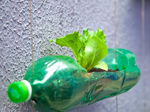 Как сделать подвесные грядки для клубники из пластиковых бутылок