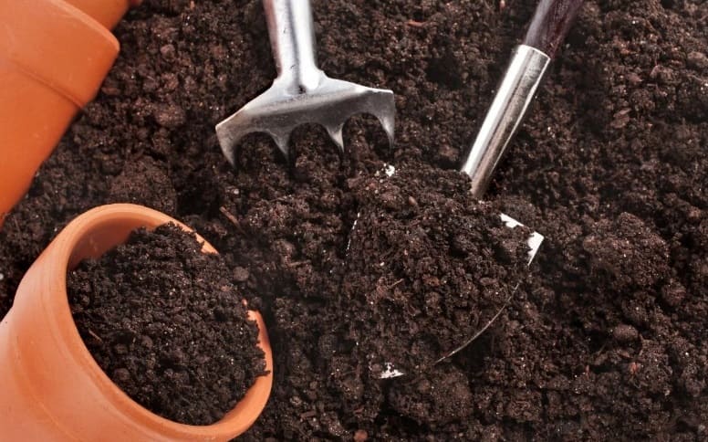 Чем и как обеззаразить почву перед посадкой рассады и семян