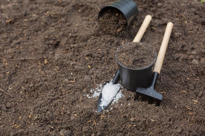 Обработка почвы в открытом грунте